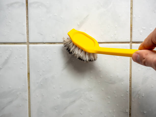 Best Home Mold Removal  in Level Plains, AL