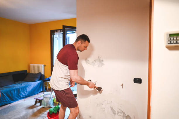 Best Local Mold Removal Service  in Level Plains, AL